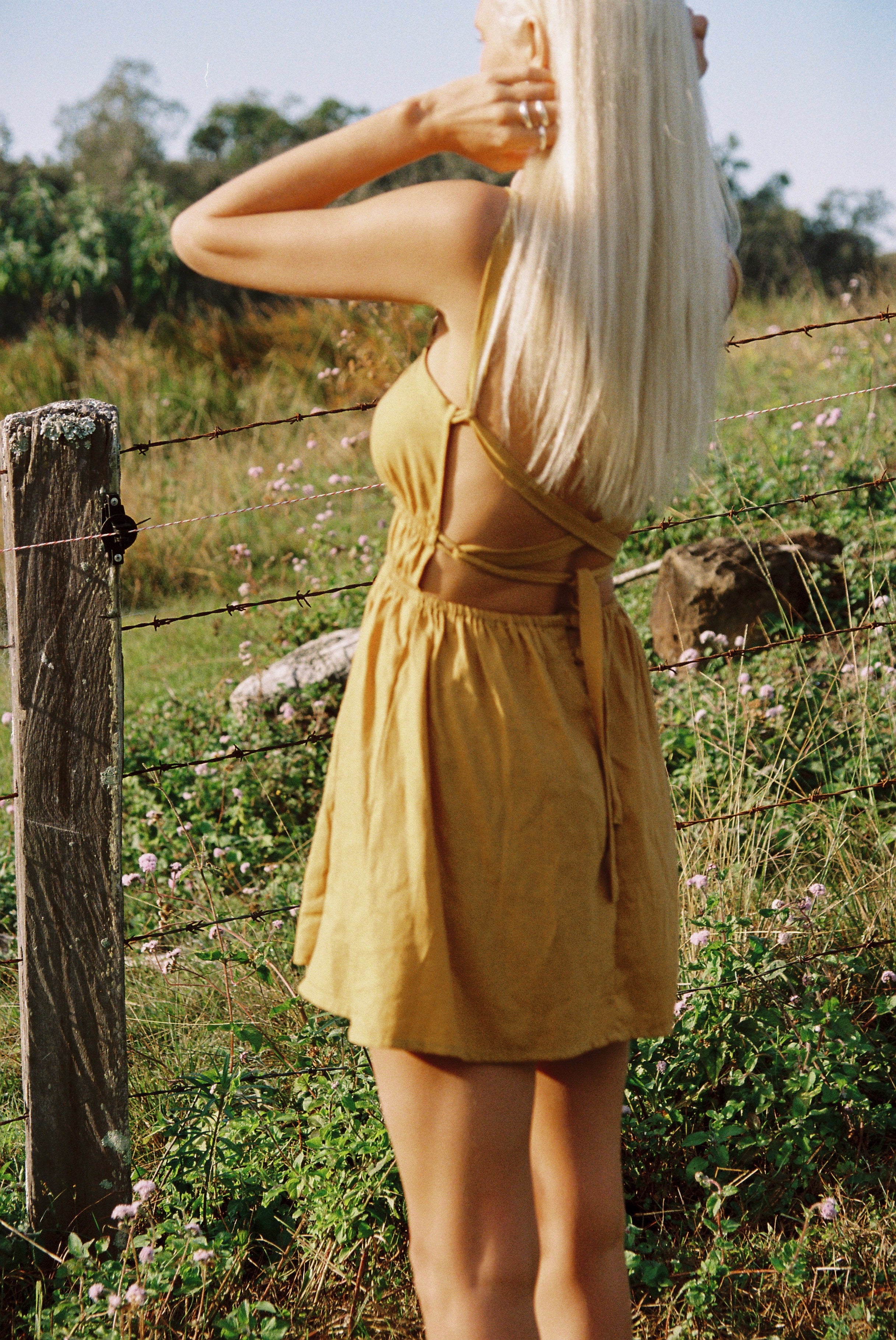 Country Dreamer Collection