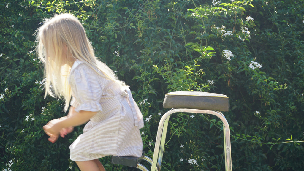 Daisy mini - fawn gingham