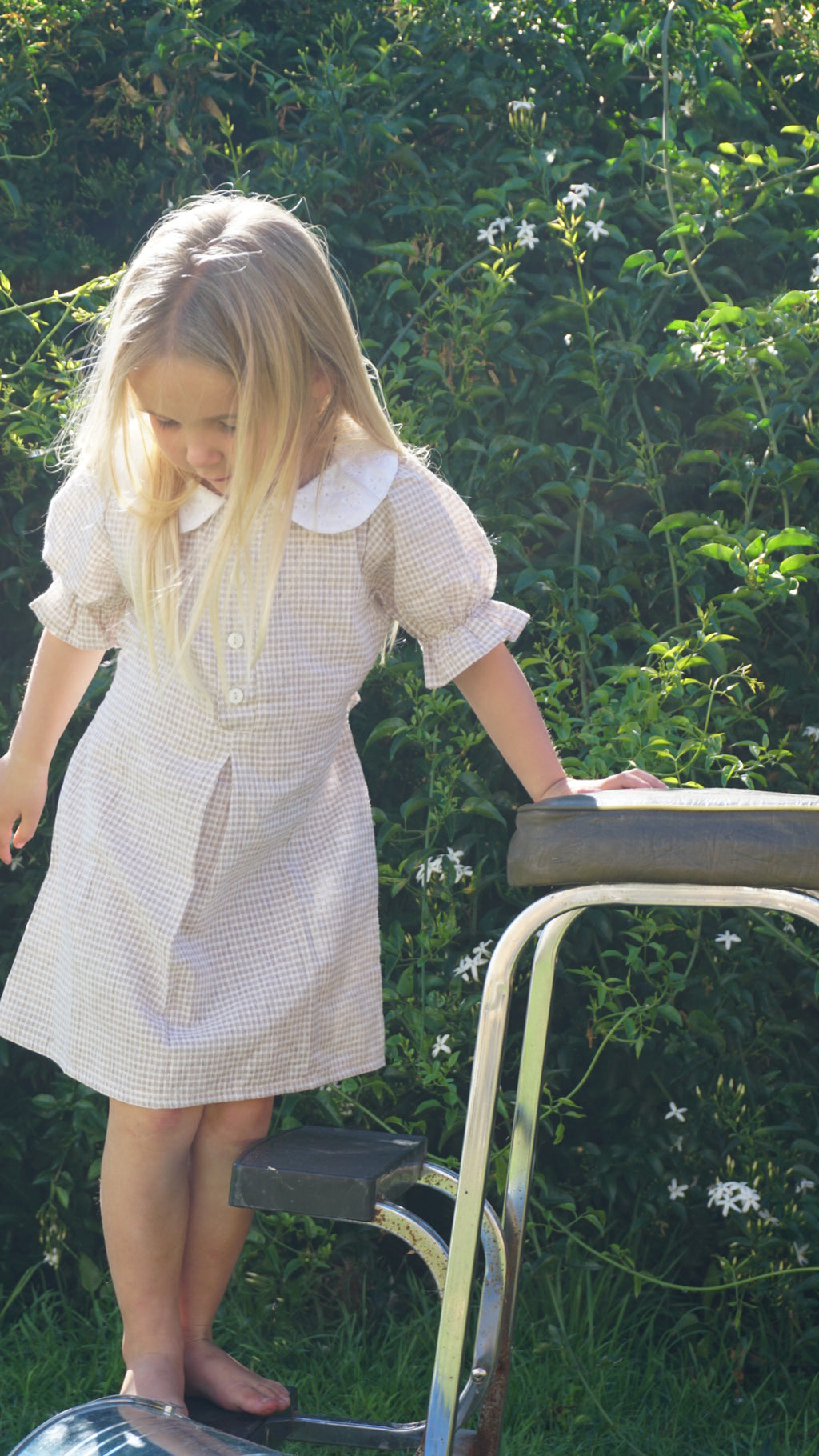 Daisy mini - fawn gingham