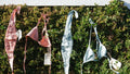 Lagoon bandeau- dusty blue