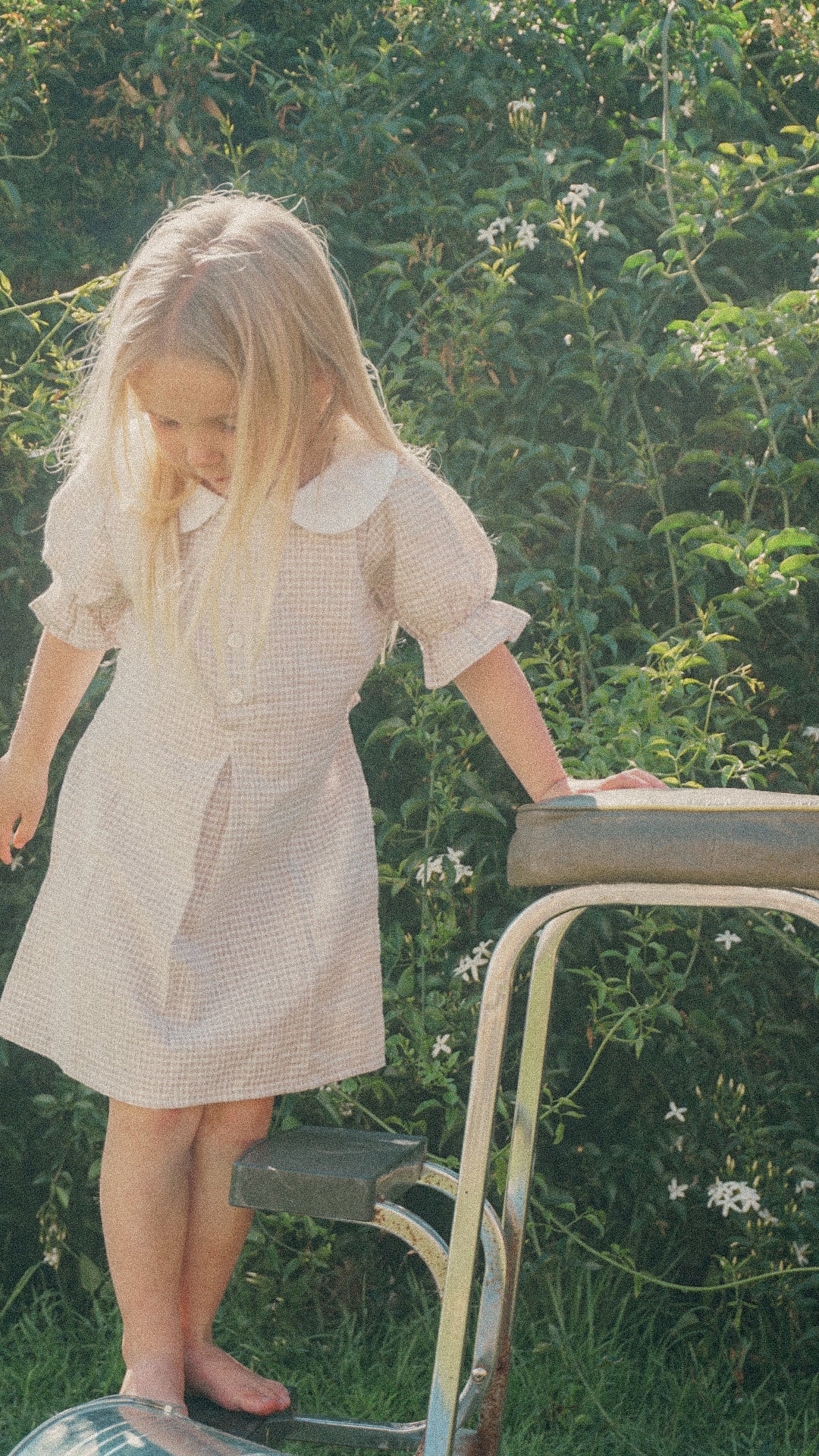 Daisy mini - fawn gingham