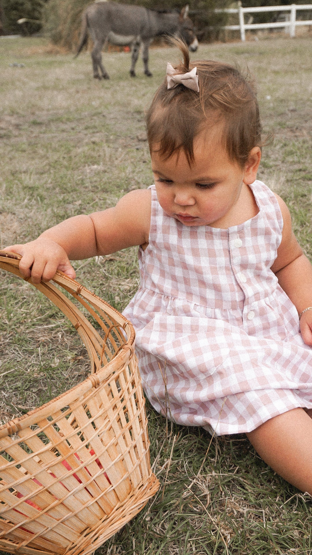 Petunia dress