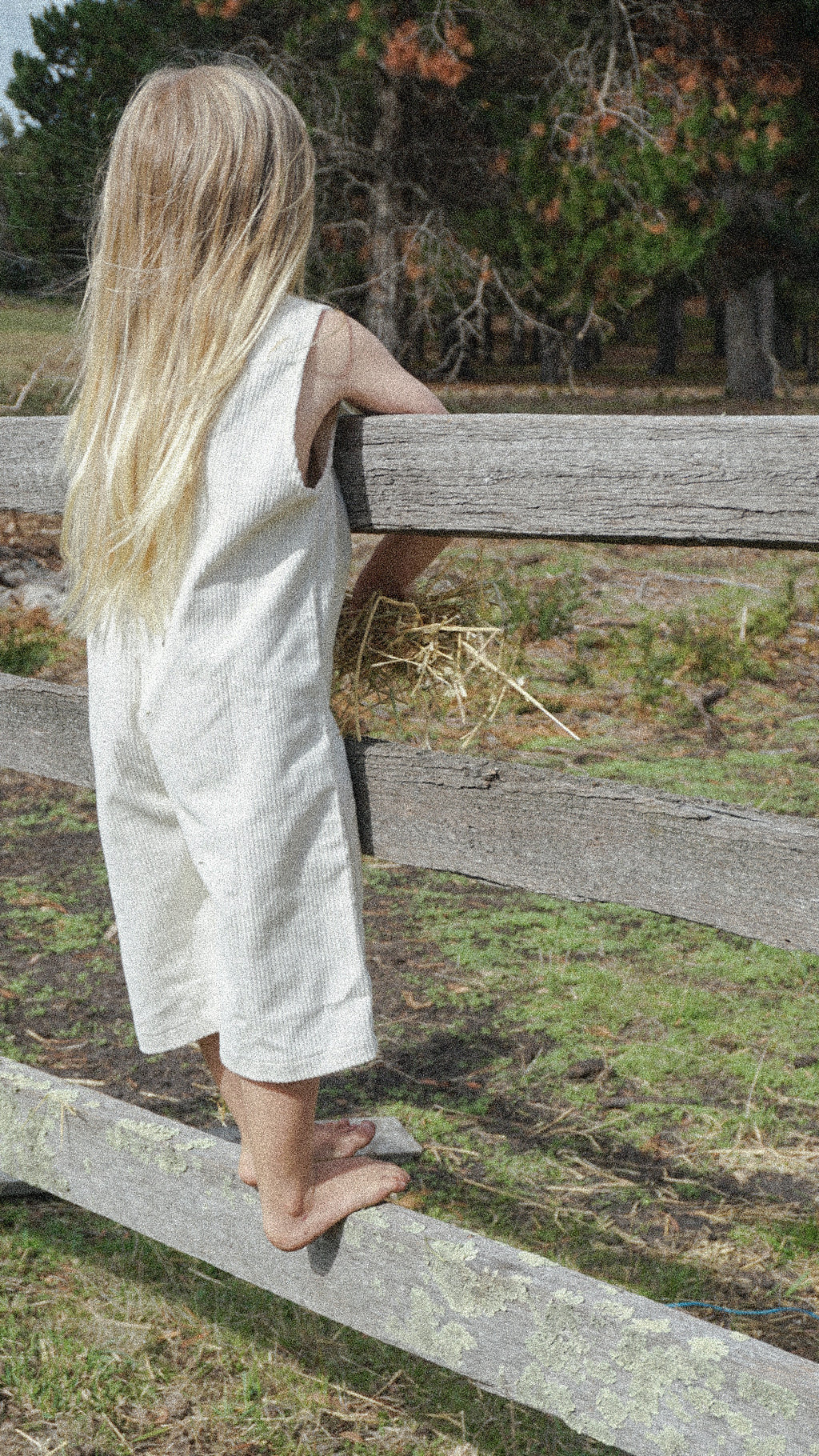 Jasmine jumpsuit - corduroy cream