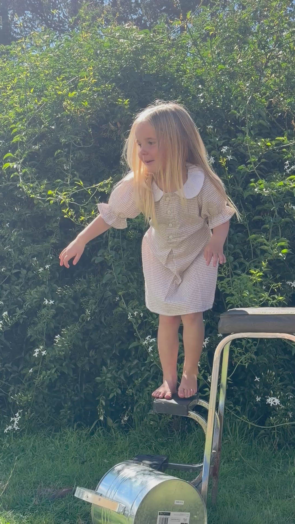 Daisy mini - fawn gingham