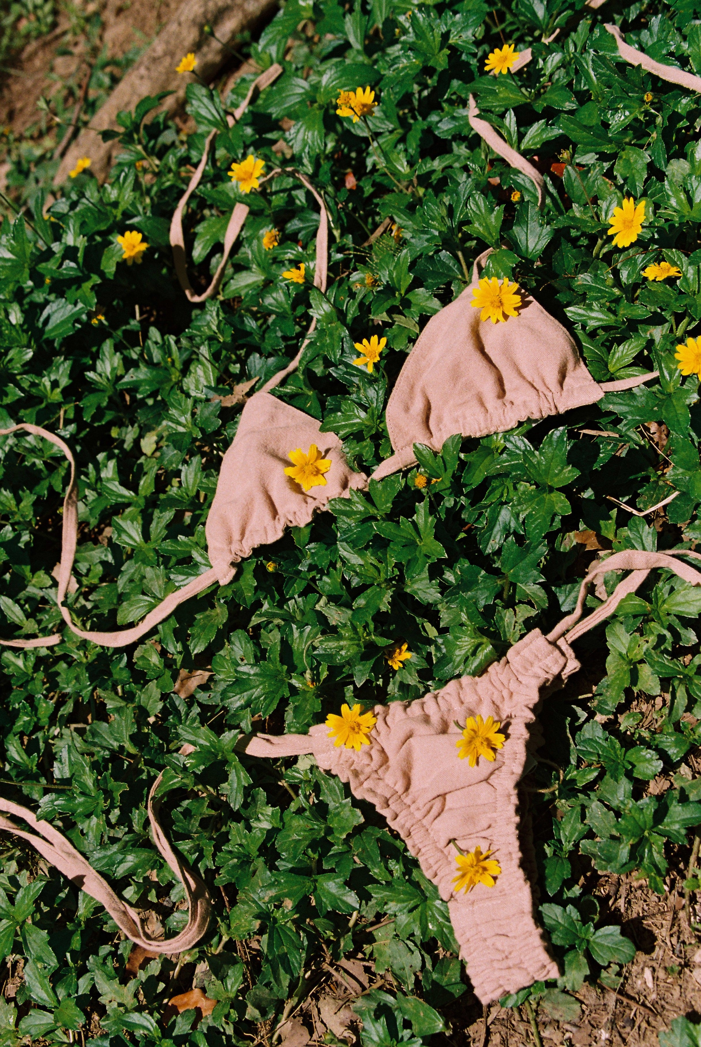 Tahiti Triangle - Nude